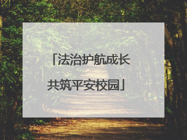 法治护航成长 共筑平安校园