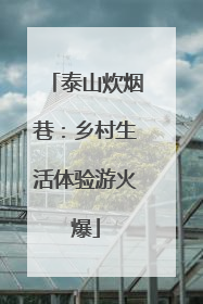 泰山炊烟巷：乡村生活体验游火爆