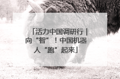 活力中国调研行｜向“智”！中国机器人“跑”起来