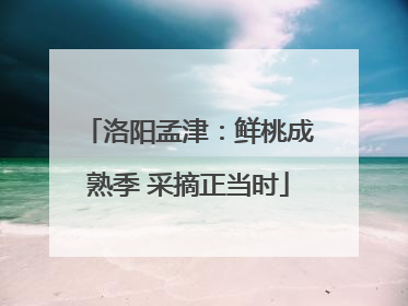 洛阳孟津：鲜桃成熟季 采摘正当时