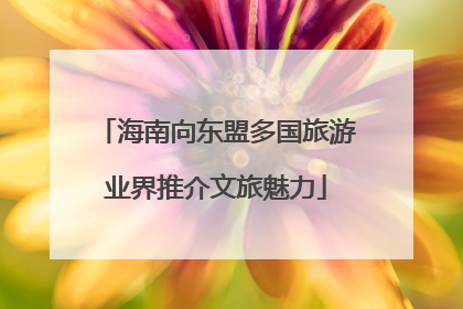 海南向东盟多国旅游业界推介文旅魅力