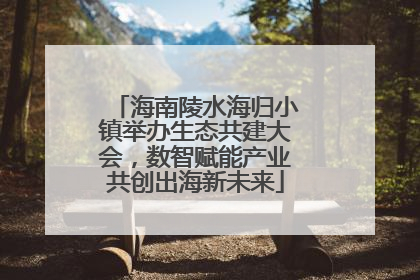 海南陵水海归小镇举办生态共建大会，数智赋能产业共创出海新未来