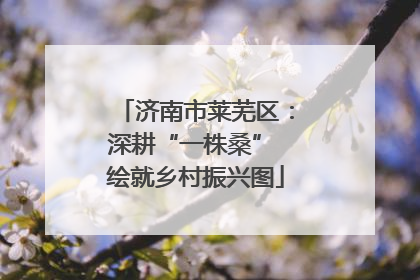 济南市莱芜区：深耕“一株桑” 绘就乡村振兴图
