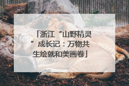 浙江“山野精灵”成长记：万物共生绘就和美画卷