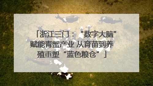 浙江三门：“数字大脑”赋能青蟹产业 从育苗到养殖重塑“蓝色粮仓”