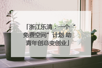 浙江乐清：一个“免费空间”计划 助青年创意变创业