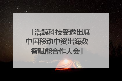 浩鲸科技受邀出席中国移动中资出海数智赋能合作大会