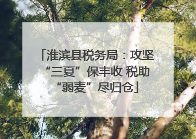淮滨县税务局：攻坚“三夏”保丰收 税助“弱麦”尽归仓