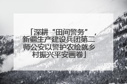 深耕“田间警务”，新疆生产建设兵团第二师公安以警护农绘就乡村振兴平安画卷