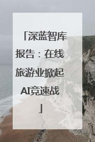深蓝智库报告：在线旅游业掀起AI竞速战
