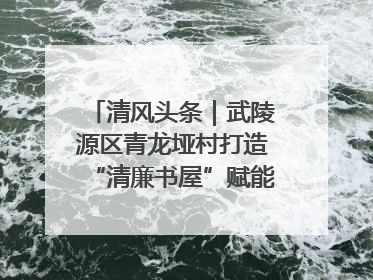 清风头条｜武陵源区青龙垭村打造“清廉书屋”赋能乡村振兴新风尚