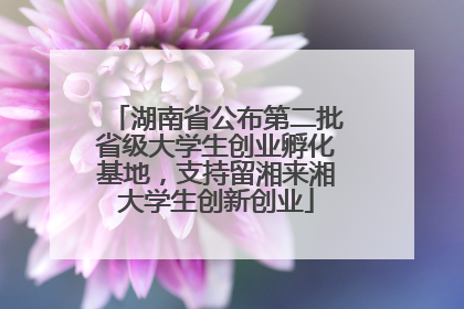 湖南省公布第二批省级大学生创业孵化基地，支持留湘来湘大学生创新创业