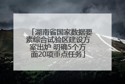 湖南省国家数据要素综合试验区建设方案出炉 明确5个方面20项重点任务