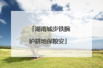 湖南城步铁腕护耕地保粮安