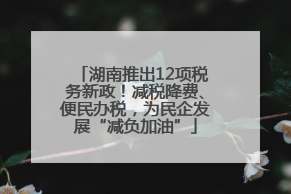 湖南推出12项税务新政！减税降费、便民办税，为民企发展“减负加油”