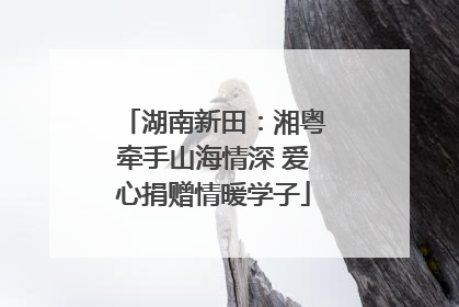 湖南新田：湘粤牵手山海情深 爱心捐赠情暖学子