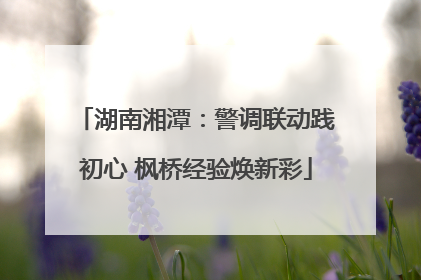 湖南湘潭：警调联动践初心 枫桥经验焕新彩