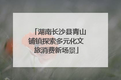 湖南长沙县青山铺镇探索多元化文旅消费新场景