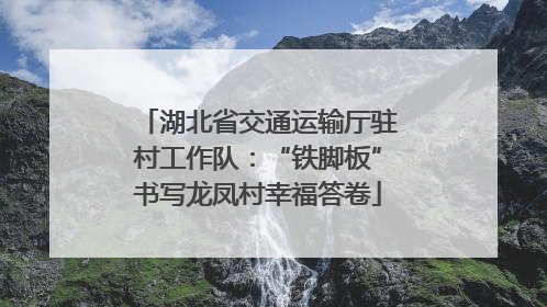 湖北省交通运输厅驻村工作队：“铁脚板”书写龙凤村幸福答卷