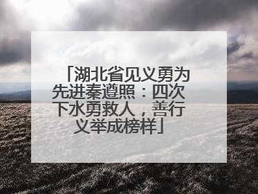 湖北省见义勇为先进秦遵照：四次下水勇救人，善行义举成榜样