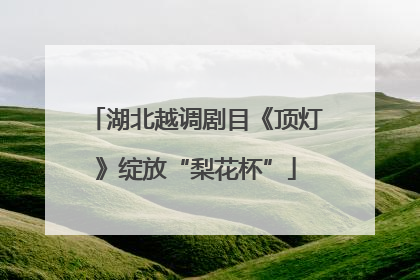 湖北越调剧目《顶灯》绽放“梨花杯”