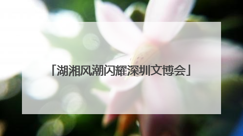 湖湘风潮闪耀深圳文博会