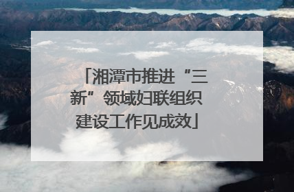 湘潭市推进“三新”领域妇联组织建设工作见成效