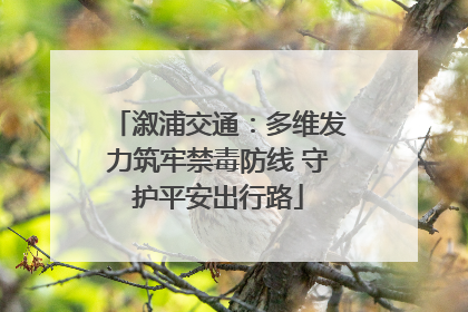 溆浦交通：多维发力筑牢禁毒防线 守护平安出行路