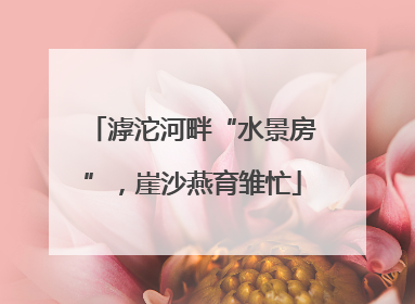 滹沱河畔“水景房”，崖沙燕育雏忙