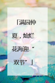 满园仲夏，灿烂花海迎“双节”