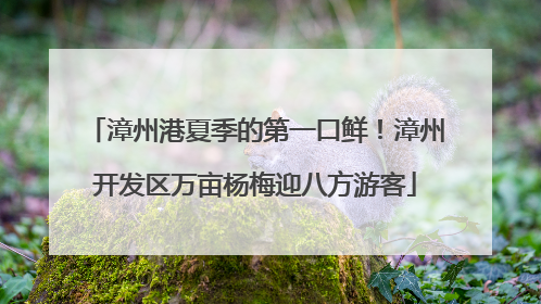 漳州港夏季的第一口鲜！漳州开发区万亩杨梅迎八方游客