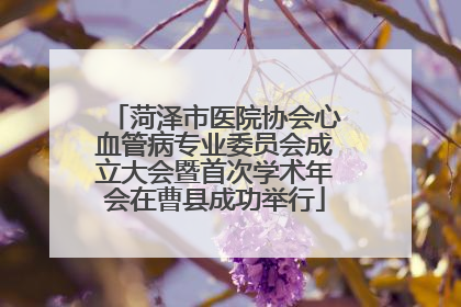 菏泽市医院协会心血管病专业委员会成立大会暨首次学术年会在曹县成功举行
