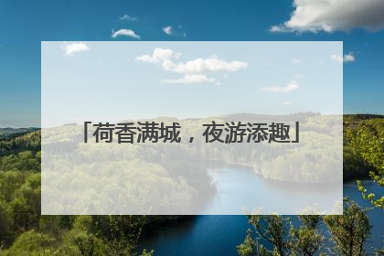 荷香满城，夜游添趣