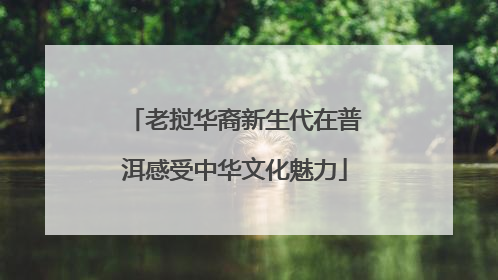 老挝华裔新生代在普洱感受中华文化魅力