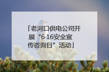 老河口供电公司开展“6·16安全宣传咨询日”活动