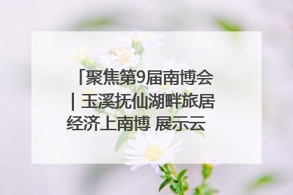 聚焦第9届南博会｜玉溪抚仙湖畔旅居经济上南博 展示云南生活新样本