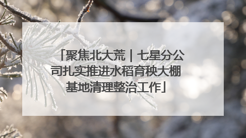 聚焦北大荒｜七星分公司扎实推进水稻育秧大棚基地清理整治工作