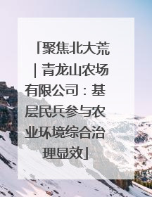 聚焦北大荒｜青龙山农场有限公司：基层民兵参与农业环境综合治理显效