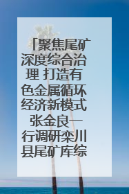 聚焦尾矿深度综合治理 打造有色金属循环经济新模式 张金良一行调研栾川县尾矿库综合治理工作