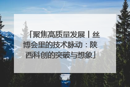 聚焦高质量发展丨丝博会里的技术脉动：陕西科创的突破与想象