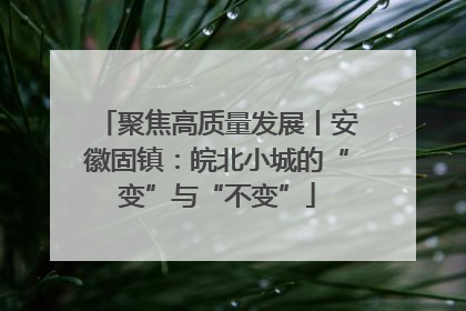 聚焦高质量发展丨安徽固镇：皖北小城的“变”与“不变”