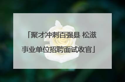 聚才冲刺百强县 松滋事业单位招聘面试收官