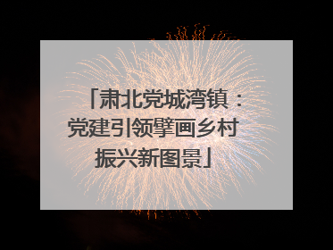 肃北党城湾镇：党建引领擘画乡村振兴新图景