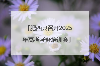 肥西县召开2025年高考考务培训会