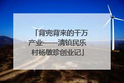 背兜背来的千万产业——清镇民乐村杨敏珍创业记