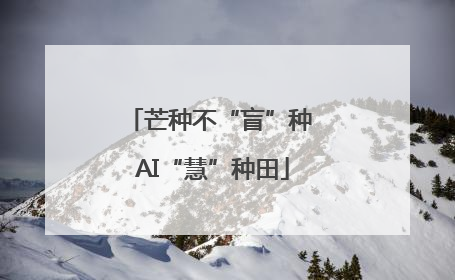 芒种不“盲”种 AI“慧”种田