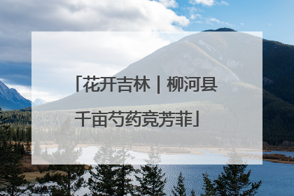 花开吉林｜柳河县千亩芍药竞芳菲