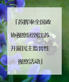 苏辉率全国政协视察团到江苏开展民主监督性视察活动