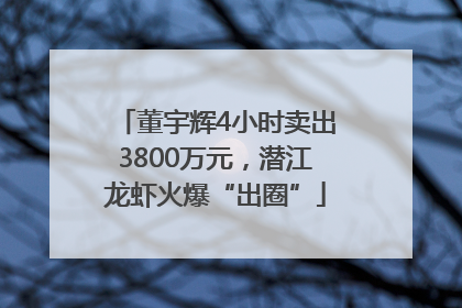 董宇辉4小时卖出3800万元，潜江龙虾火爆“出圈”