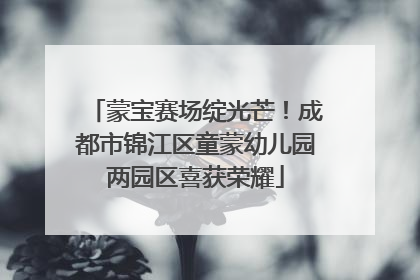 蒙宝赛场绽光芒！成都市锦江区童蒙幼儿园两园区喜获荣耀